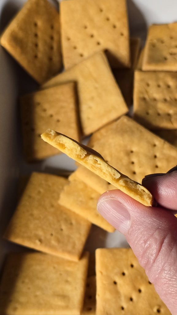 Crackers sin Gluten ni Lactosa!